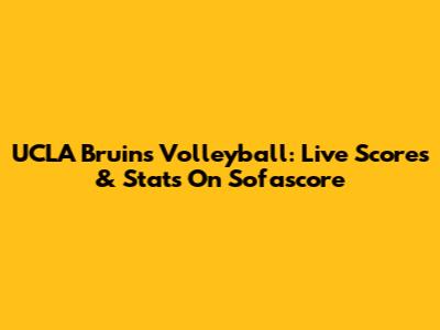 UCLA Bruins Volleyball: Live Scores & Stats On Sofascore
