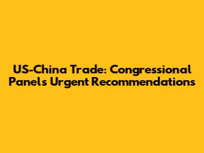 US-China Trade: Congressional Panel's Urgent Recommendations