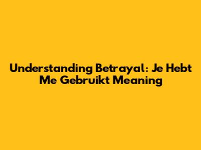 Understanding Betrayal: 'Je Hebt Me Gebruikt' Meaning