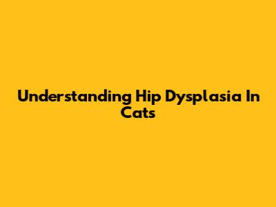 Understanding Hip Dysplasia In Cats