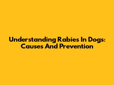 Understanding Rabies In Dogs: Causes And Prevention