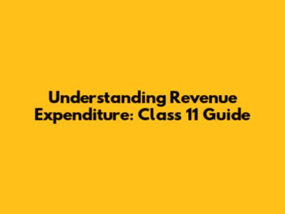 Understanding Revenue Expenditure: Class 11 Guide