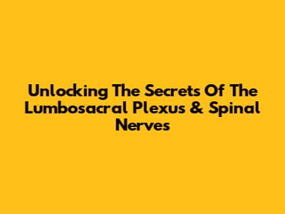 Unlocking The Secrets Of The Lumbosacral Plexus & Spinal Nerves