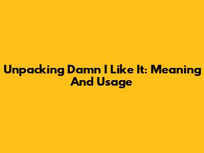 Unpacking 'Damn I Like It': Meaning And Usage