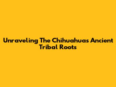 Unraveling The Chihuahua's Ancient Tribal Roots