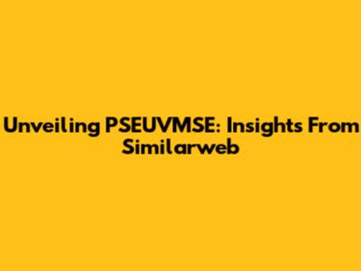 Unveiling PSEUVMSE: Insights From Similarweb
