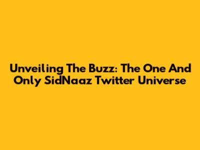 Unveiling The Buzz: The One And Only SidNaaz Twitter Universe