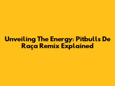 Unveiling The Energy: Pitbull's 'De Raça' Remix Explained