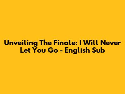Unveiling The Finale: I Will Never Let You Go - English Sub