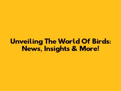 Unveiling The World Of Birds: News, Insights & More!