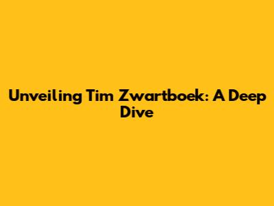 Unveiling Tim Zwartboek: A Deep Dive