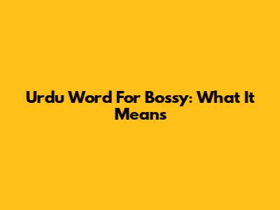 Urdu Word For "Bossy": What It Means