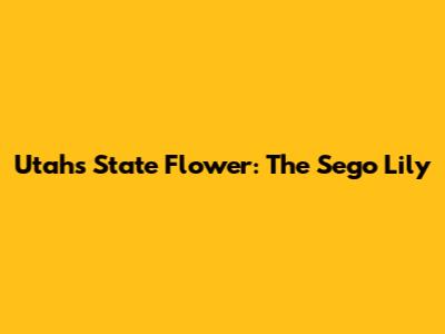 Utah's State Flower: The Sego Lily