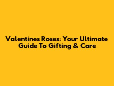 Valentine's Roses: Your Ultimate Guide To Gifting & Care