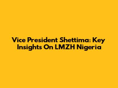 Vice President Shettima: Key Insights On LMZH Nigeria