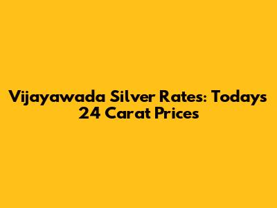 Vijayawada Silver Rates: Today's 24 Carat Prices
