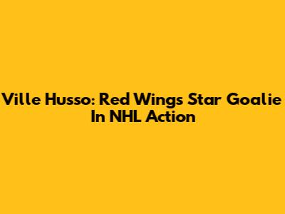 Ville Husso: Red Wings' Star Goalie In NHL Action
