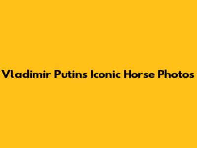 Vladimir Putin's Iconic Horse Photos