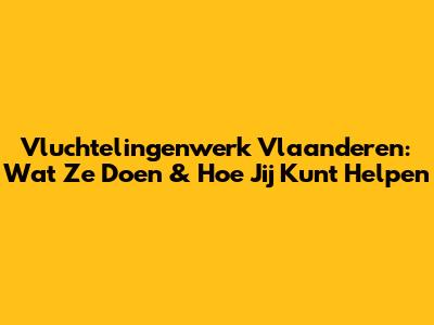 Vluchtelingenwerk Vlaanderen: Wat Ze Doen & Hoe Jij Kunt Helpen