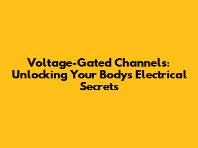 Voltage-Gated Channels: Unlocking Your Body's Electrical Secrets