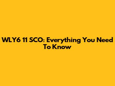 WLY6 11 SCO: Everything You Need To Know