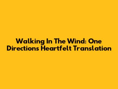 Walking In The Wind: One Direction's Heartfelt Translation