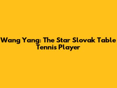 Wang Yang: The Star Slovak Table Tennis Player