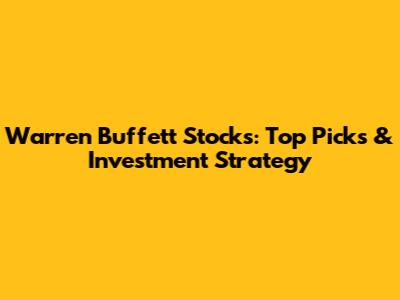 Warren Buffett Stocks: Top Picks & Investment Strategy