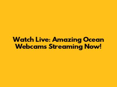 Watch Live: Amazing Ocean Webcams Streaming Now!
