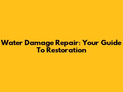 Water Damage Repair: Your Guide To Restoration