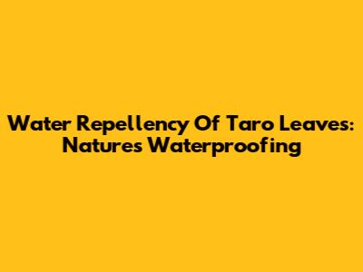 Water Repellency Of Taro Leaves: Nature's Waterproofing