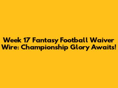 Week 17 Fantasy Football Waiver Wire: Championship Glory Awaits!