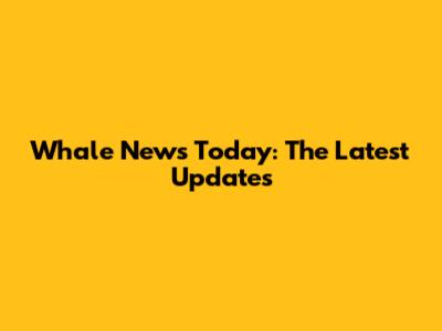 Whale News Today: The Latest Updates