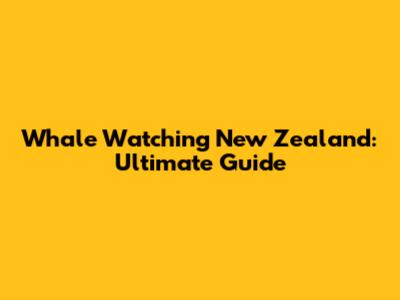 Whale Watching New Zealand: Ultimate Guide