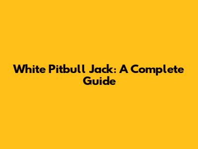 White Pitbull Jack: A Complete Guide
