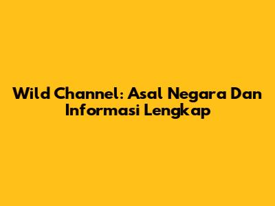 Wild Channel: Asal Negara Dan Informasi Lengkap
