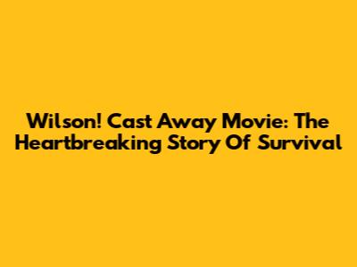 Wilson! Cast Away Movie: The Heartbreaking Story Of Survival