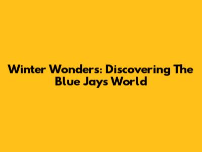 Winter Wonders: Discovering The Blue Jays' World
