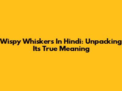 Wispy Whiskers In Hindi: Unpacking Its True Meaning