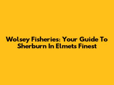 Wolsey Fisheries: Your Guide To Sherburn In Elmet's Finest