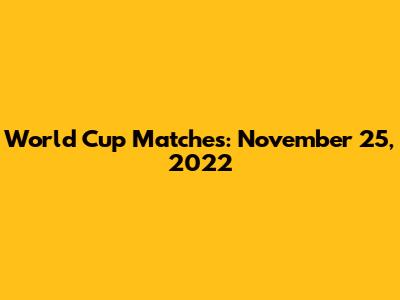 World Cup Matches: November 25, 2022