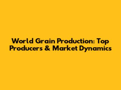 World Grain Production: Top Producers & Market Dynamics