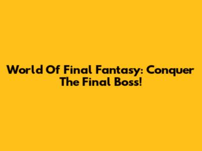 World Of Final Fantasy: Conquer The Final Boss!
