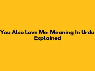 You Also Love Me: Meaning In Urdu Explained
