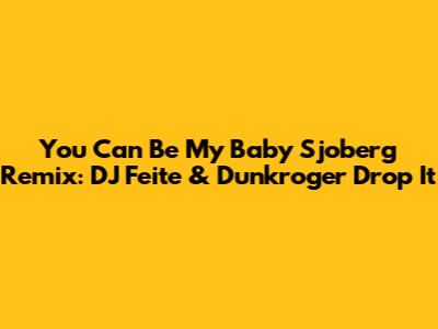 You Can Be My Baby Sjoberg Remix: DJ Feite & Dunkroger Drop It