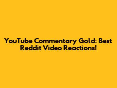 YouTube Commentary Gold: Best Reddit Video Reactions!