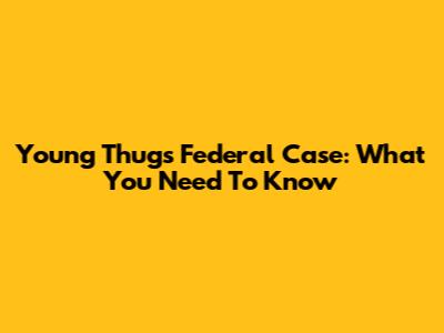 Young Thug's Federal Case: What You Need To Know