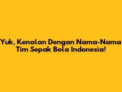 Yuk, Kenalan Dengan Nama-Nama Tim Sepak Bola Indonesia!