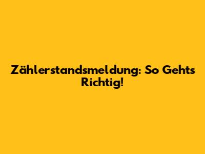 Zählerstandsmeldung: So Geht's Richtig!