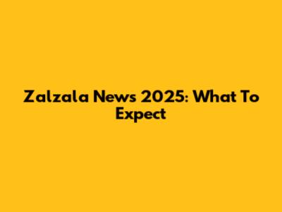 Zalzala News 2025: What To Expect